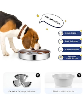 Plato para perro Xtellar