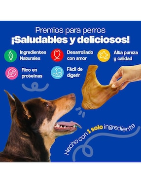 Premio Dogelthy para perro 100 g