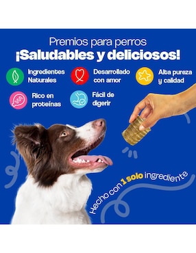 Premio Dogelthy para perro 100 g
