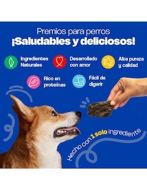 Premio Dogelthy de res para perro 100 g