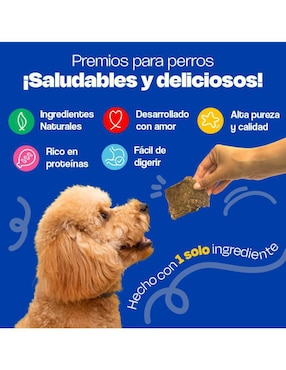 Premio Dogelthy de res para perro 100 g