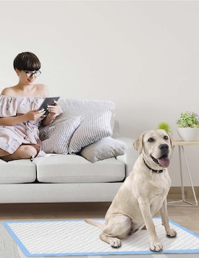Tapete entrenador Magma Life para perro