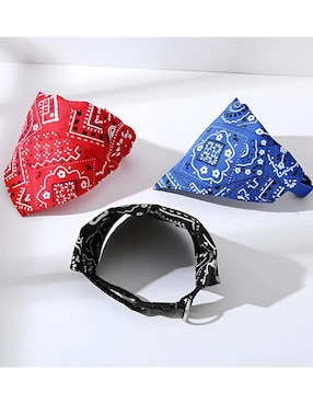 Set collar Xtellar para mascota