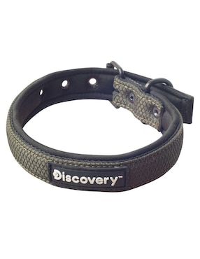 Collar Discovery para perro