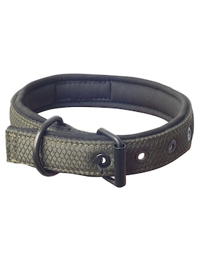 Collar Discovery para perro