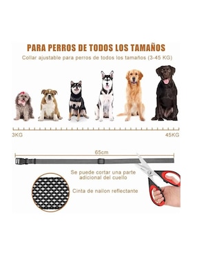 Collar Lab.g para perro