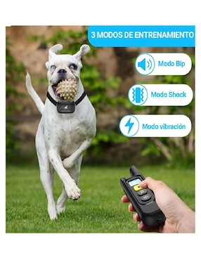 Collar Lab.g para perro