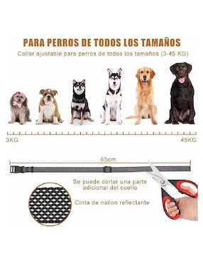 Collar Lab.g para perro