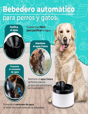 Bebedero transparente para perro y gato Lab.G 2 L