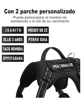 Arnés y correa Lab.g para perro