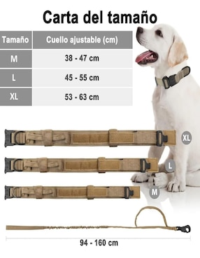 Correa y collar Lab.G de poliéster para perro