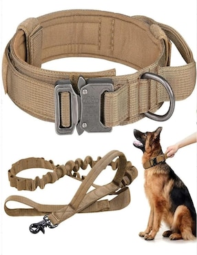 Correa y collar Lab.G de poliéster para perro