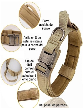 Correa y collar Lab.G de poliéster para perro