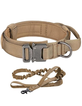 Correa y collar Lab.G de nylon para perro