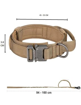 Correa y collar Lab.G de nylon para perro