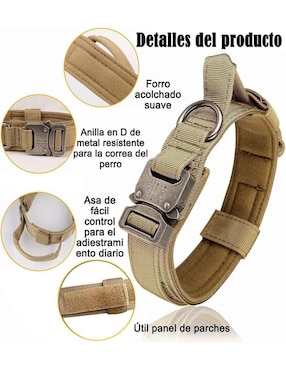 Correa y collar Lab.G de nylon para perro