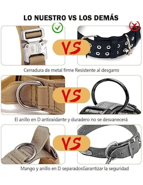 Correa y collar Lab.G de nylon para perro