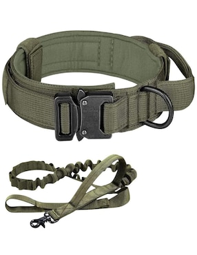 Correa y collar Lab.G de nylon para perro y gato