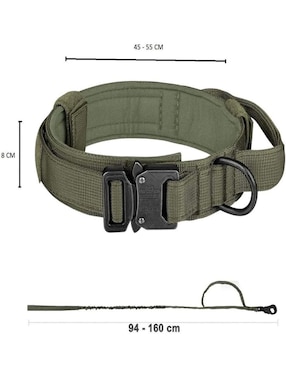 Correa y collar Lab.G de nylon para perro y gato