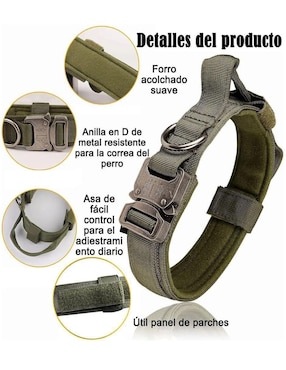 Correa y collar Lab.G de nylon para perro y gato