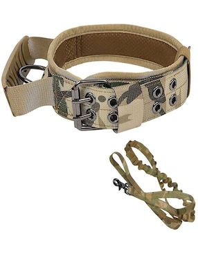 Correa y collar Lab.G para perro
