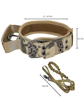 Correa y collar Lab.G para perro