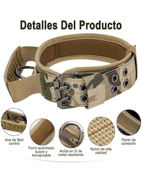 Correa y collar Lab.G para perro