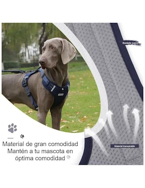 Correa Lab.G de sintético para perro