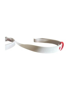 Correa y collar Mi Pañuelo para perro