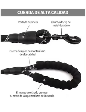 Correa y collar Lab.G para perro