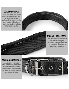 Correa y collar Lab.G para perro