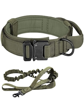 Correa y collar Lab.G para perro