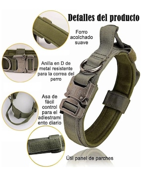 Correa y collar Lab.G para perro