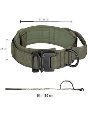 Correa y collar Lab.G para perro