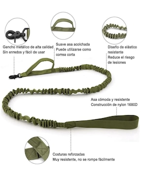 Correa y collar Lab.G para perro