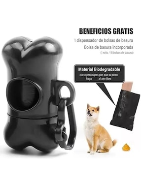 Correa Lab.G para perro