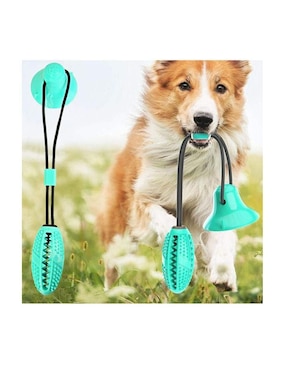 Juguete interactivo para perro Lab.G