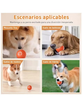 Juguete interactivo para perro Lab.g