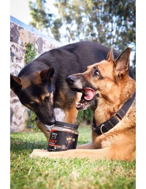 Premio Dukes de pollo para perro 400 g