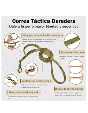 Correa y collar Lab.G para perro
