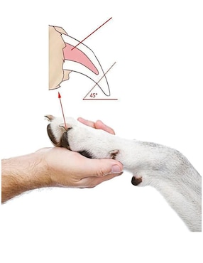 Cortaúñas Lab.G para perro y gato