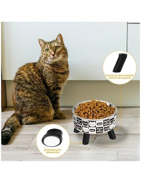Set plato para gato Lab.g