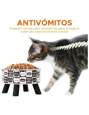Set plato para gato Lab.g
