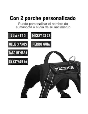 Arnés y correa Lab.g para perro