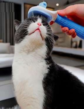 Cepillo Lab.G para perro y gato