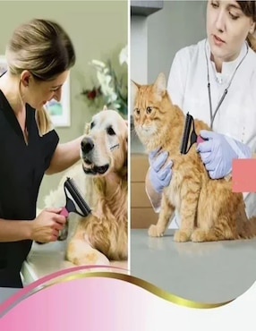 Cepillo Lab.G de plástico para perro y gato