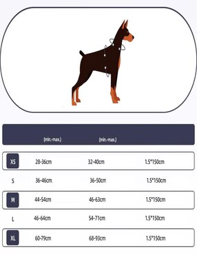Pechera Lab.G para perro