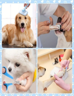 Set cepillo Lab.G para perro y gato