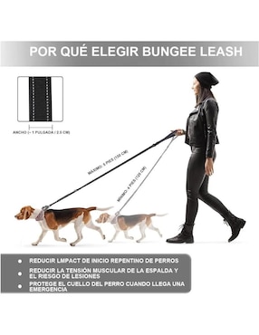 Correa Lab.G para perro