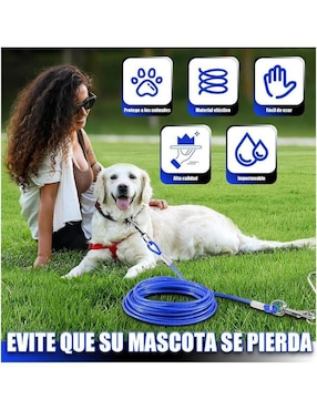 Correa Lab.G para perro